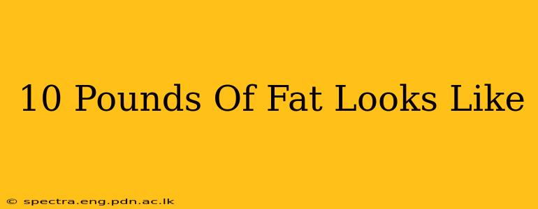 10 Pounds Of Fat Looks Like