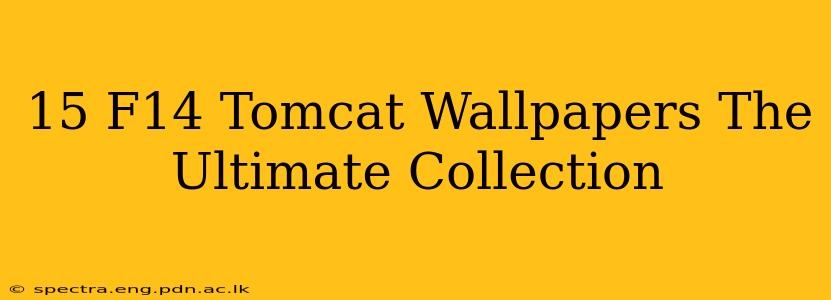 15 F14 Tomcat Wallpapers The Ultimate Collection