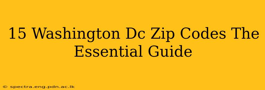 15 Washington Dc Zip Codes The Essential Guide
