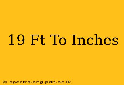 19 Ft To Inches