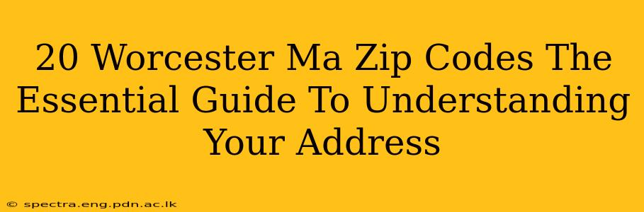 20 Worcester Ma Zip Codes The Essential Guide To Understanding Your Address
