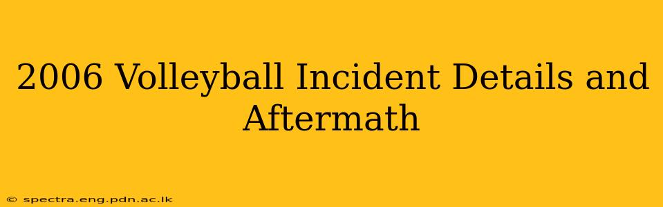 2006 Volleyball Incident Details and Aftermath