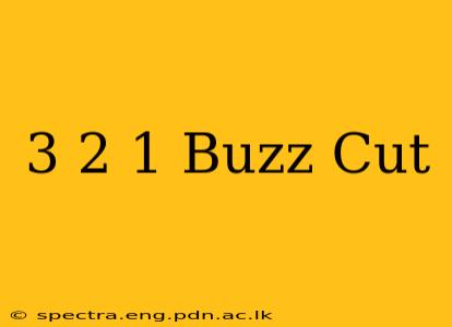 3 2 1 Buzz Cut
