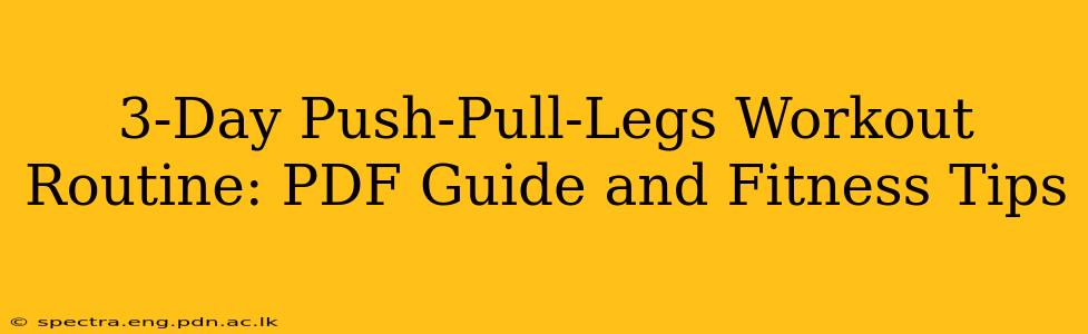 3-Day Push-Pull-Legs Workout Routine: PDF Guide and Fitness Tips