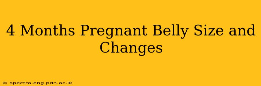 4 Months Pregnant Belly Size and Changes