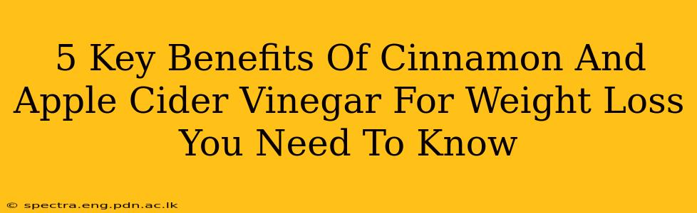 5 Key Benefits Of Cinnamon And Apple Cider Vinegar For Weight Loss You Need To Know