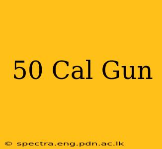 50 Cal Gun
