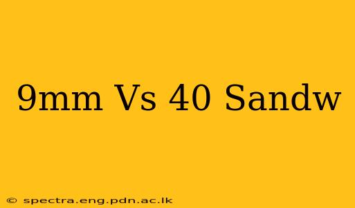 9mm Vs 40 Sandw