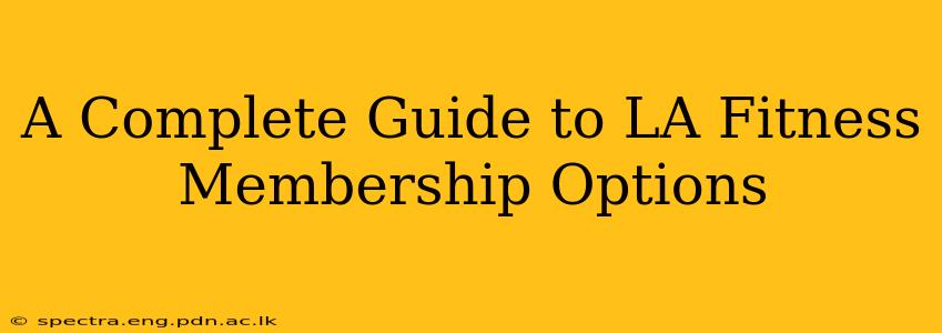 A Complete Guide to LA Fitness Membership Options