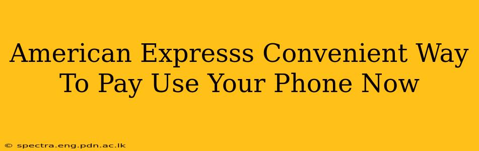 American Expresss Convenient Way To Pay Use Your Phone Now
