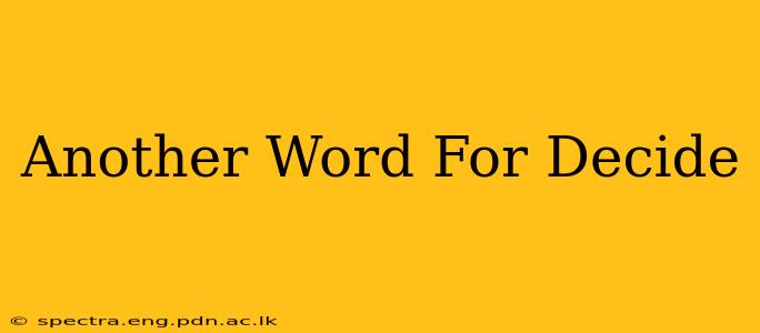 Another Word For Decide