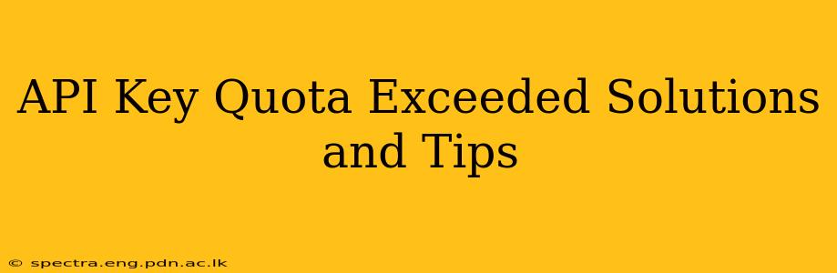 API Key Quota Exceeded Solutions and Tips