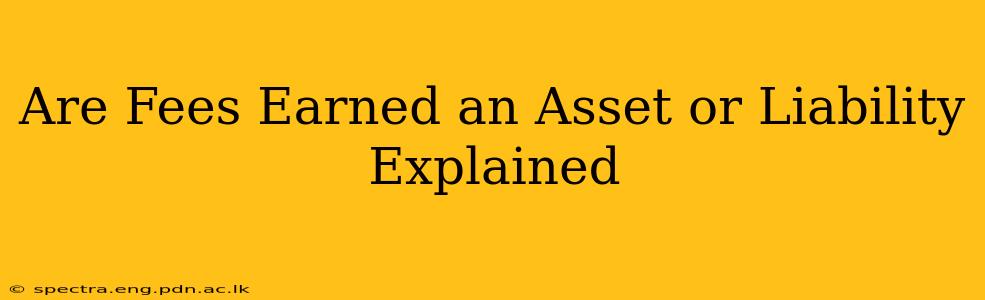 Are Fees Earned an Asset or Liability Explained
