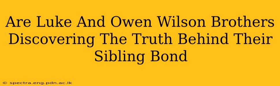Are Luke And Owen Wilson Brothers Discovering The Truth Behind Their Sibling Bond