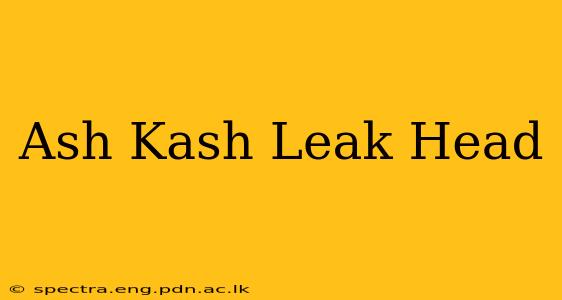 Ash Kash Leak Head