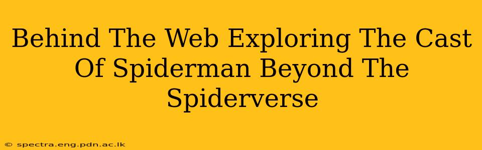 Behind The Web Exploring The Cast Of Spiderman Beyond The Spiderverse