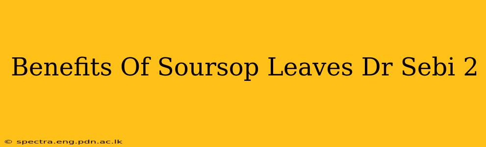 Benefits Of Soursop Leaves Dr Sebi 2