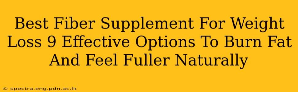 Best Fiber Supplement For Weight Loss 9 Effective Options To Burn Fat And Feel Fuller Naturally
