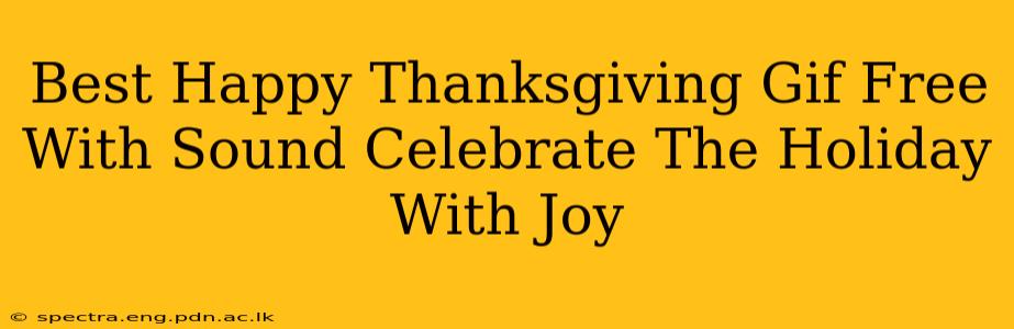 Best Happy Thanksgiving Gif Free With Sound Celebrate The Holiday With Joy