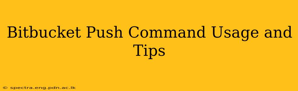 Bitbucket Push Command Usage and Tips
