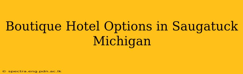 Boutique Hotel Options in Saugatuck Michigan