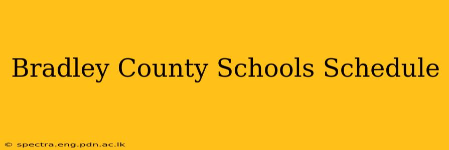 Bradley County Schools Schedule