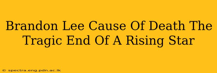 Brandon Lee Cause Of Death The Tragic End Of A Rising Star