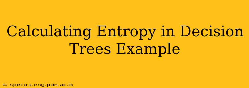 Calculating Entropy in Decision Trees Example