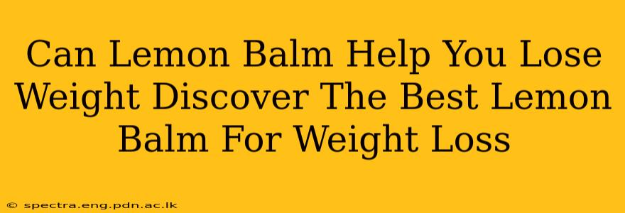 Can Lemon Balm Help You Lose Weight Discover The Best Lemon Balm For Weight Loss