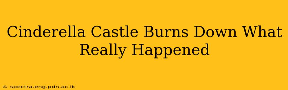 Cinderella Castle Burns Down What Really Happened