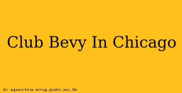 Club Bevy In Chicago