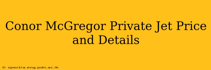 Conor McGregor Private Jet Price and Details