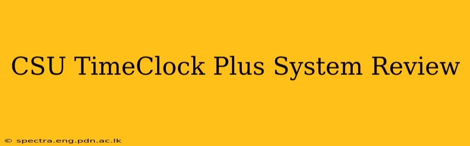 CSU TimeClock Plus System Review