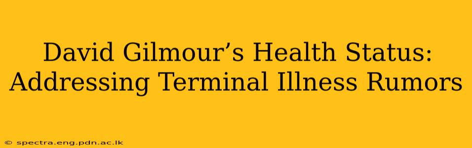 David Gilmour’s Health Status: Addressing Terminal Illness Rumors