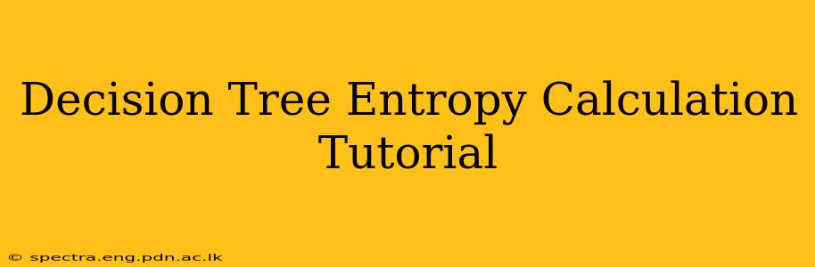 Decision Tree Entropy Calculation Tutorial
