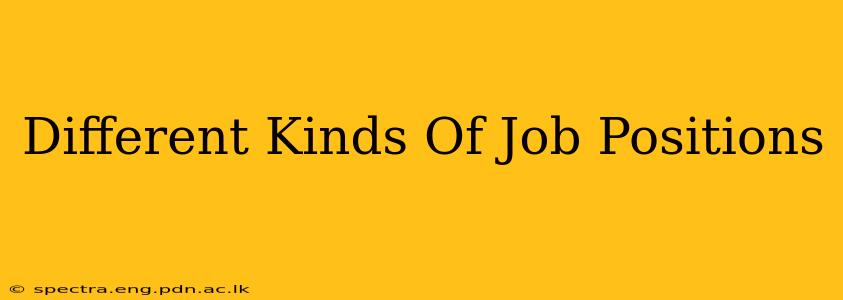 Different Kinds Of Job Positions