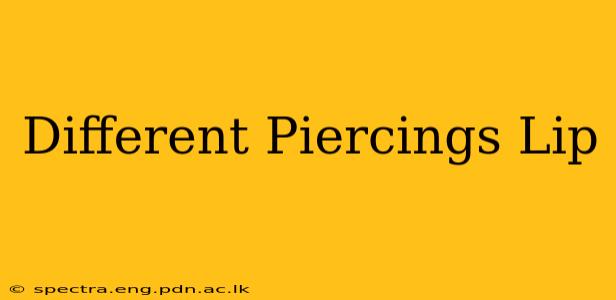 Different Piercings Lip