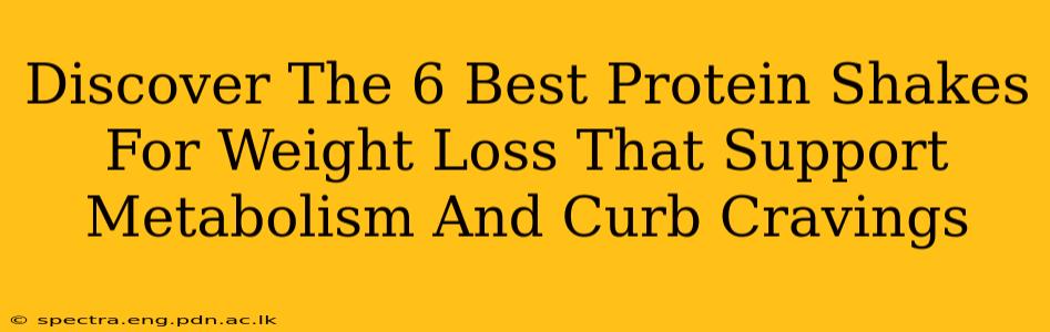 Discover The 6 Best Protein Shakes For Weight Loss That Support Metabolism And Curb Cravings