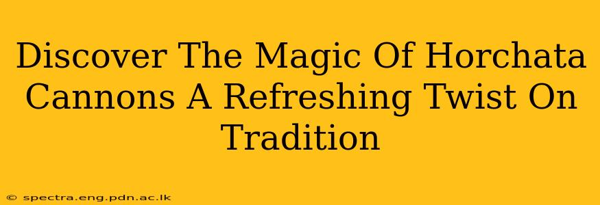 Discover The Magic Of Horchata Cannons A Refreshing Twist On Tradition