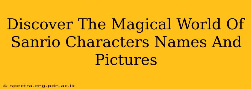 Discover The Magical World Of Sanrio Characters Names And Pictures