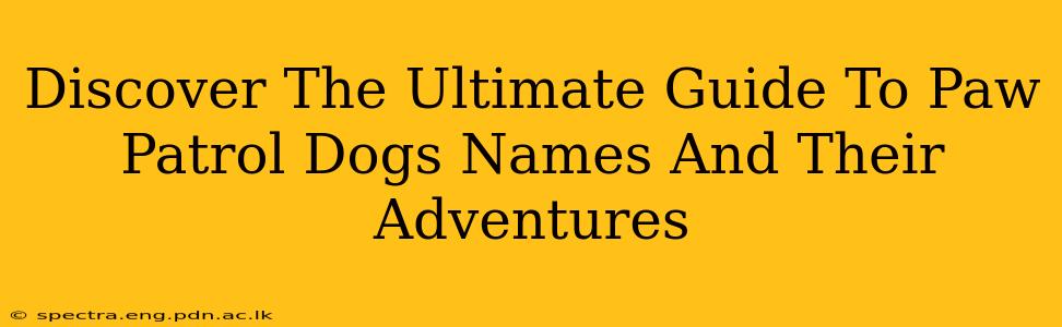 Discover The Ultimate Guide To Paw Patrol Dogs Names And Their Adventures