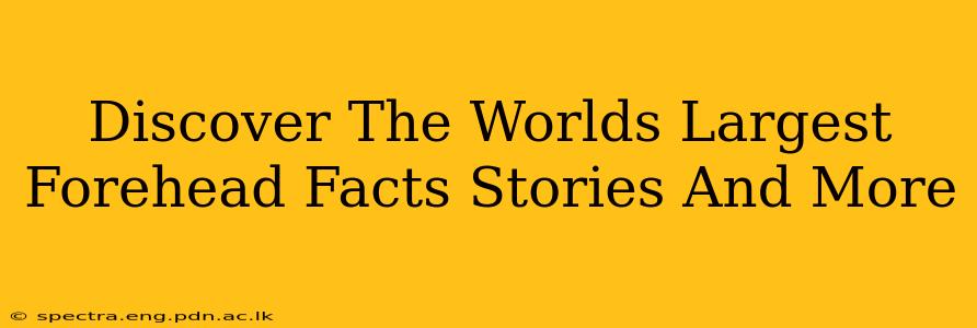 Discover The Worlds Largest Forehead Facts Stories And More