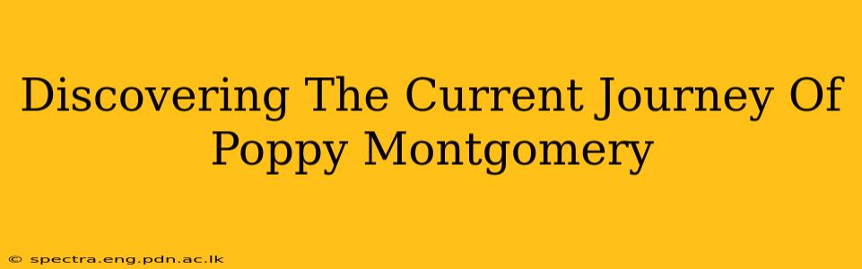 Discovering The Current Journey Of Poppy Montgomery