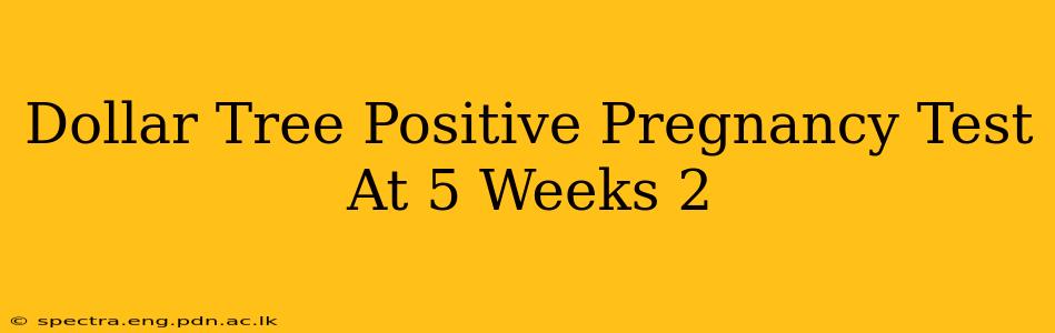 Dollar Tree Positive Pregnancy Test At 5 Weeks 2