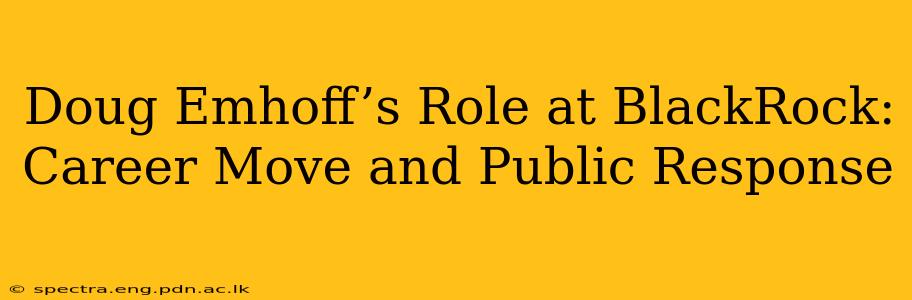 Doug Emhoff’s Role at BlackRock: Career Move and Public Response
