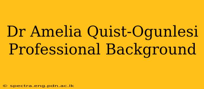 Dr Amelia Quist-Ogunlesi Professional Background