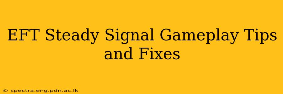 EFT Steady Signal Gameplay Tips and Fixes