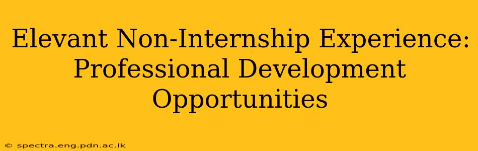 Elevant Non-Internship Experience: Professional Development Opportunities