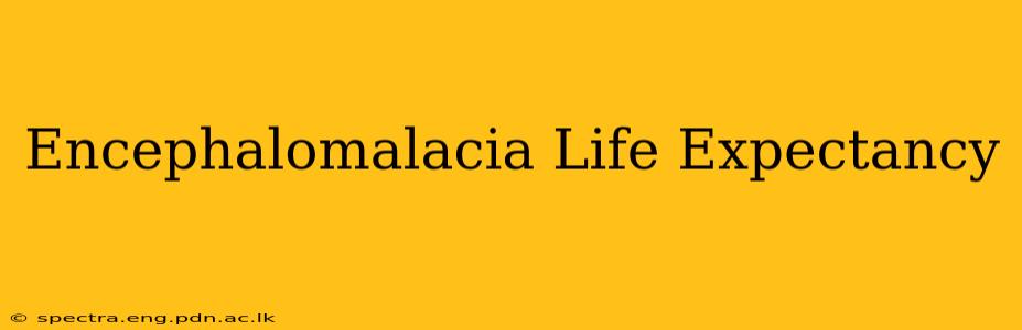 Encephalomalacia Life Expectancy