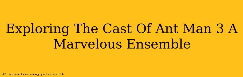 Exploring The Cast Of Ant Man 3 A Marvelous Ensemble